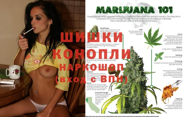 мет Балахна