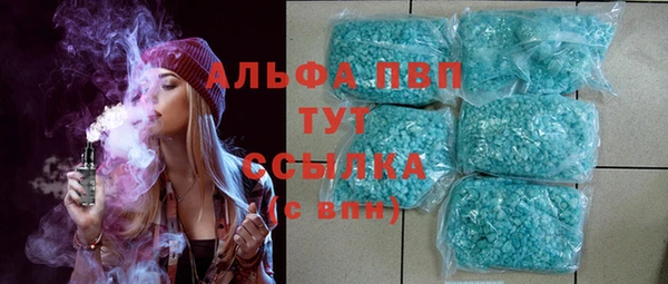 эйфоретик Баксан
