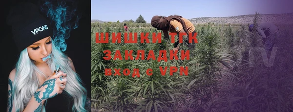 эйфоретик Баксан