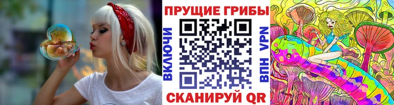 blacksprut как зайти  купить наркотики сайты  Козельск  Галлюциногенные грибы GOLDEN TEACHER 
